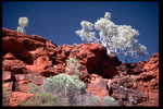 Northern Territory Nationalpark