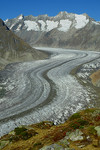 Blick auf den Aletschgletscher von der Mossfluh im Wallis.