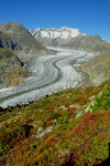 Blick auf den Aletschgletscher von der Mossfluh im Wallis.