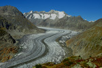 Blick auf den Aletschgletscher von der Mossfluh im Wallis.