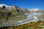 Blick auf den Aletschgletscher von der Mossfluh im Wallis.