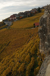 Farbenpracht im Unesco Weltkulturerbe und Weinanbaugebiet Lavaux